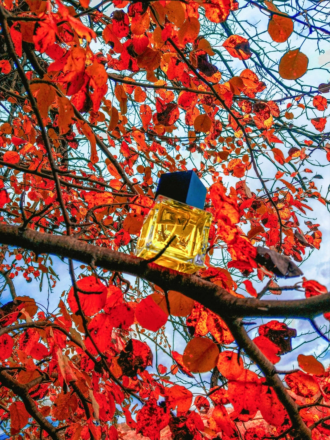 Yves Saint Laurent M7