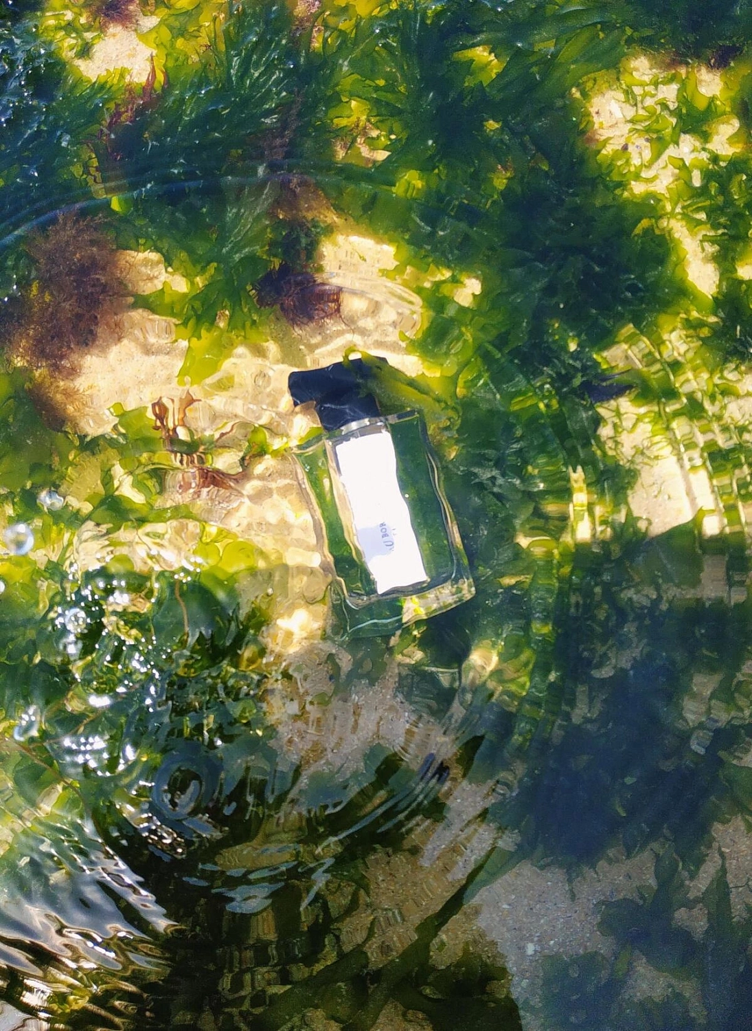 L`Artisan Parfumeur Au Bord de L'Eau