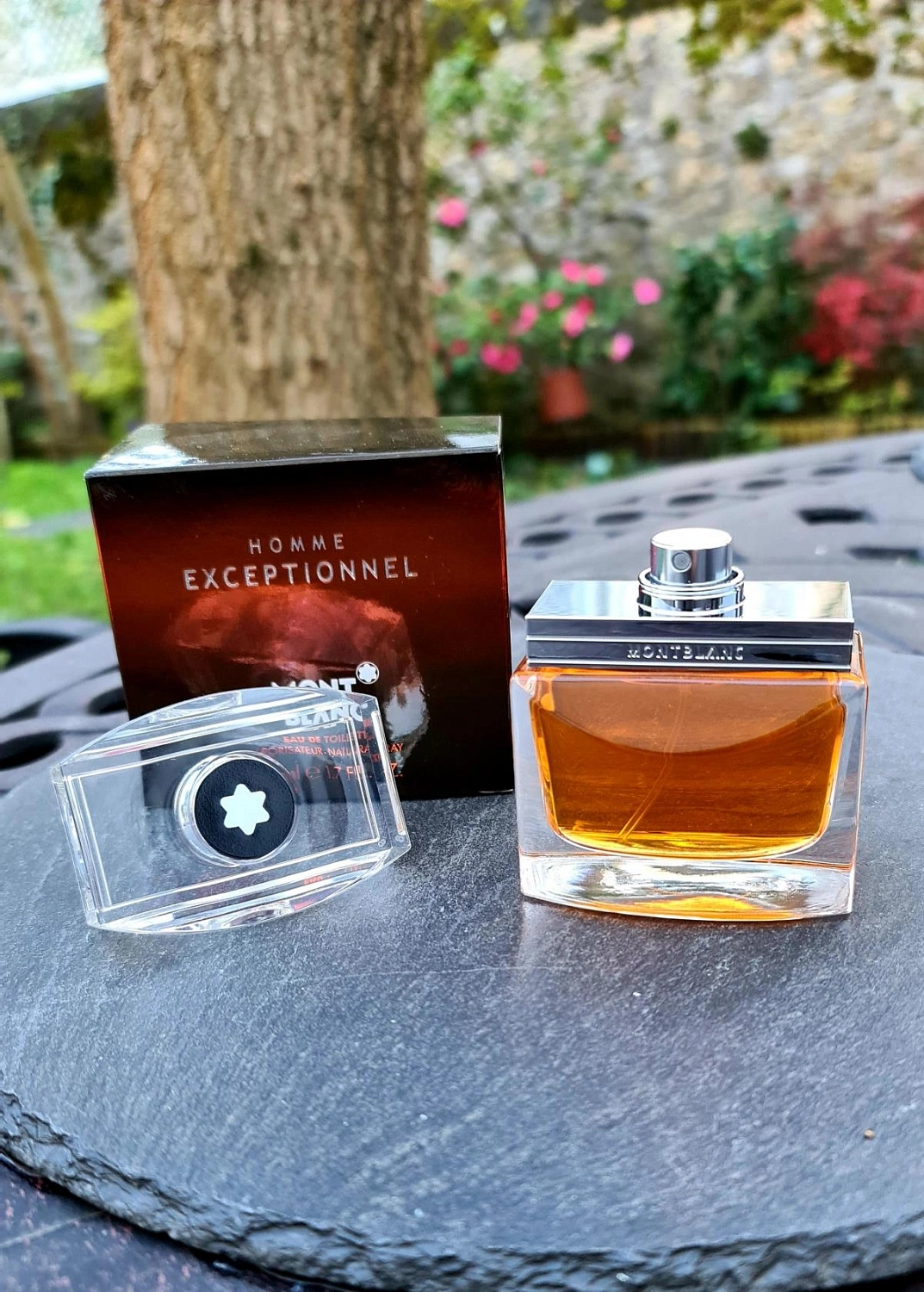 Montblanc Exceptionnel Montblanc Exceptionnel