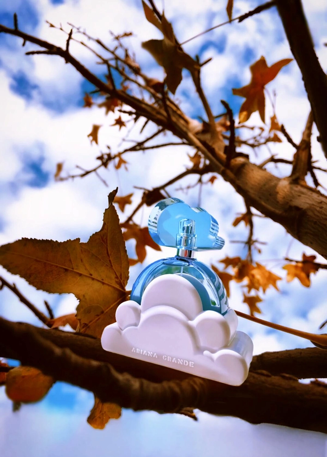 Ariana Grande Cloud Ariana Grande Cloud