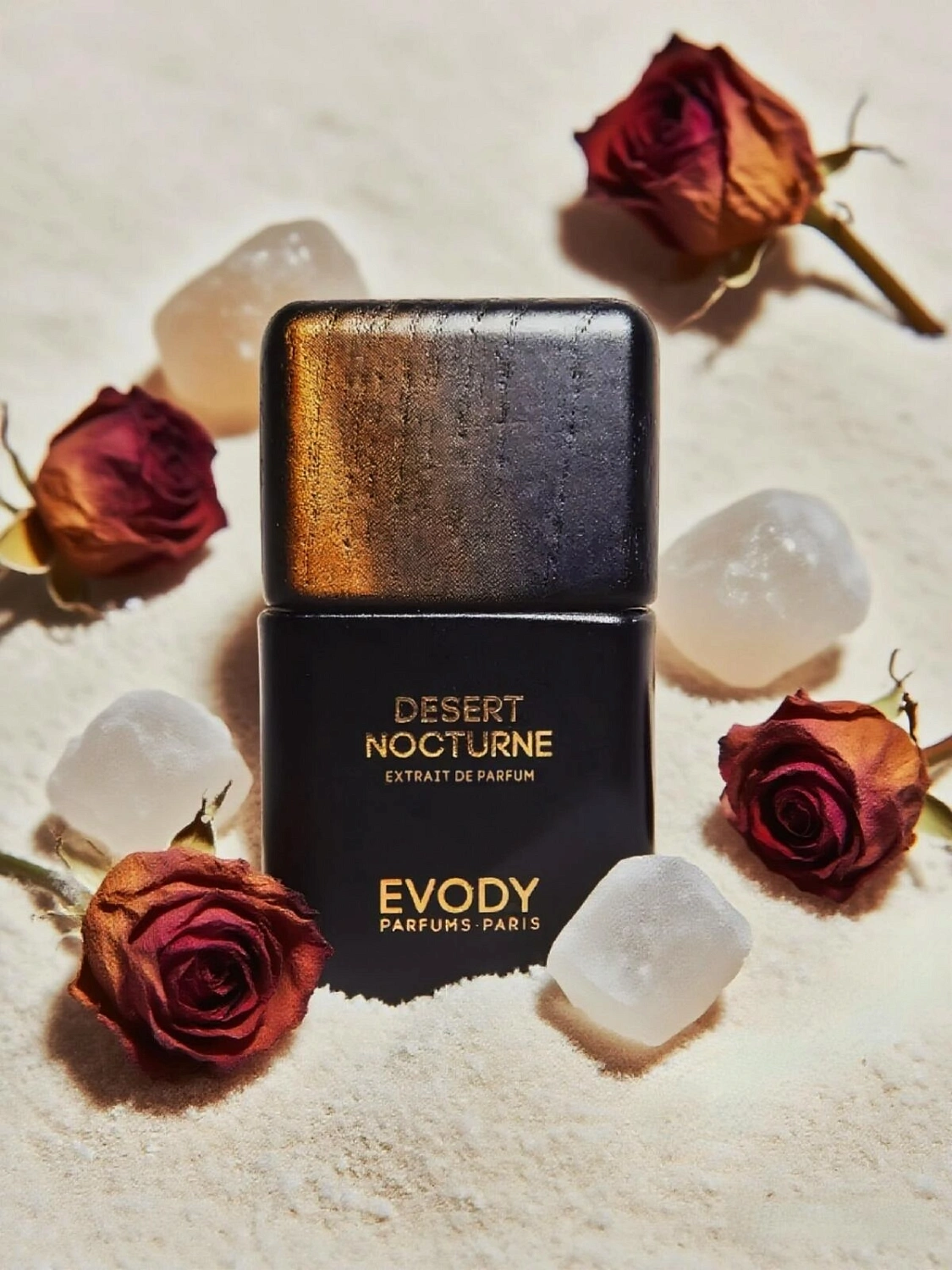 Evody Desert Nocturne Evody Desert Nocturne