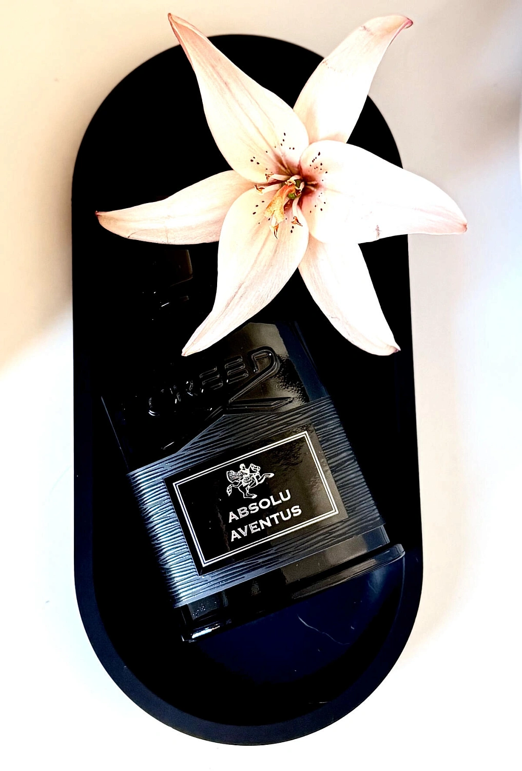 Creed Absolu Aventus 2025