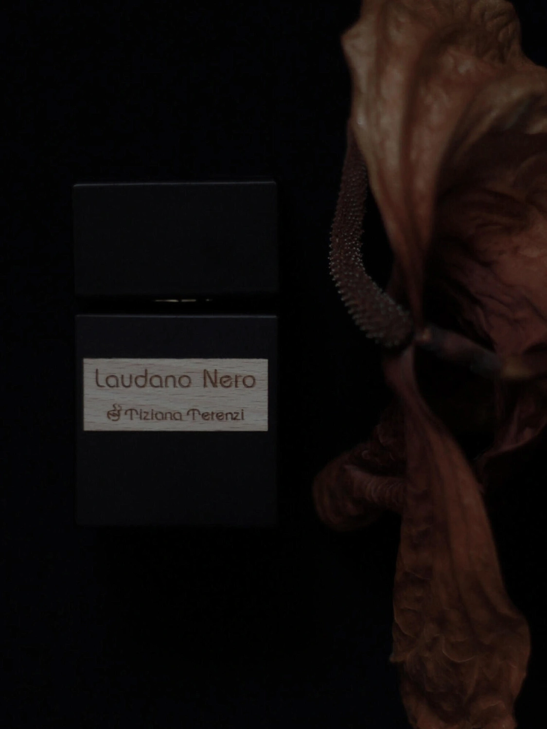 Tiziana Terenzi Laudano Nero