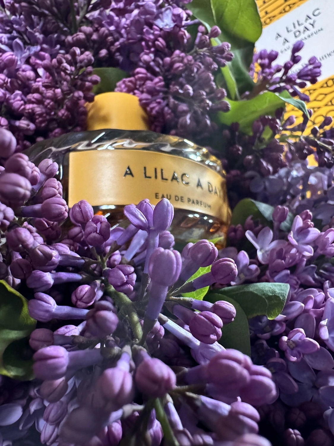 Vilhelm Parfumerie A Lilac a Day