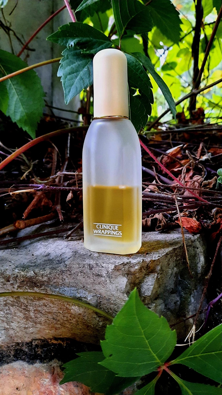 Clinique Wrappings