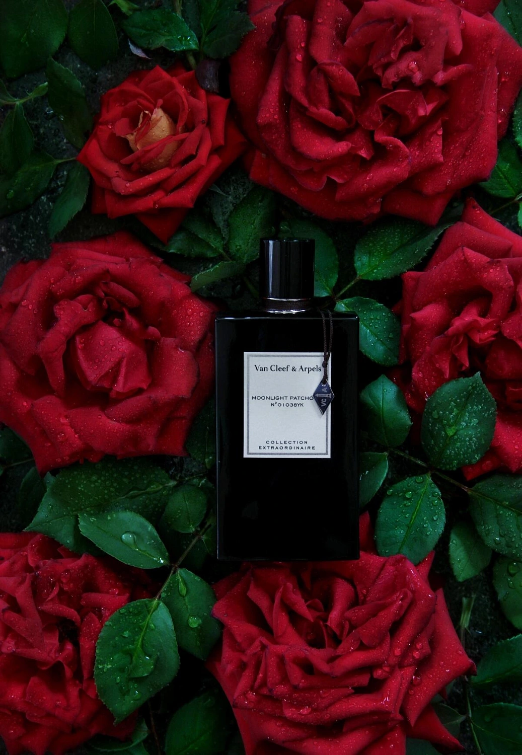 Van Cleef & Arpels Moonlight Patchouli Van Cleef & Arpels Moonlight Patchouli
