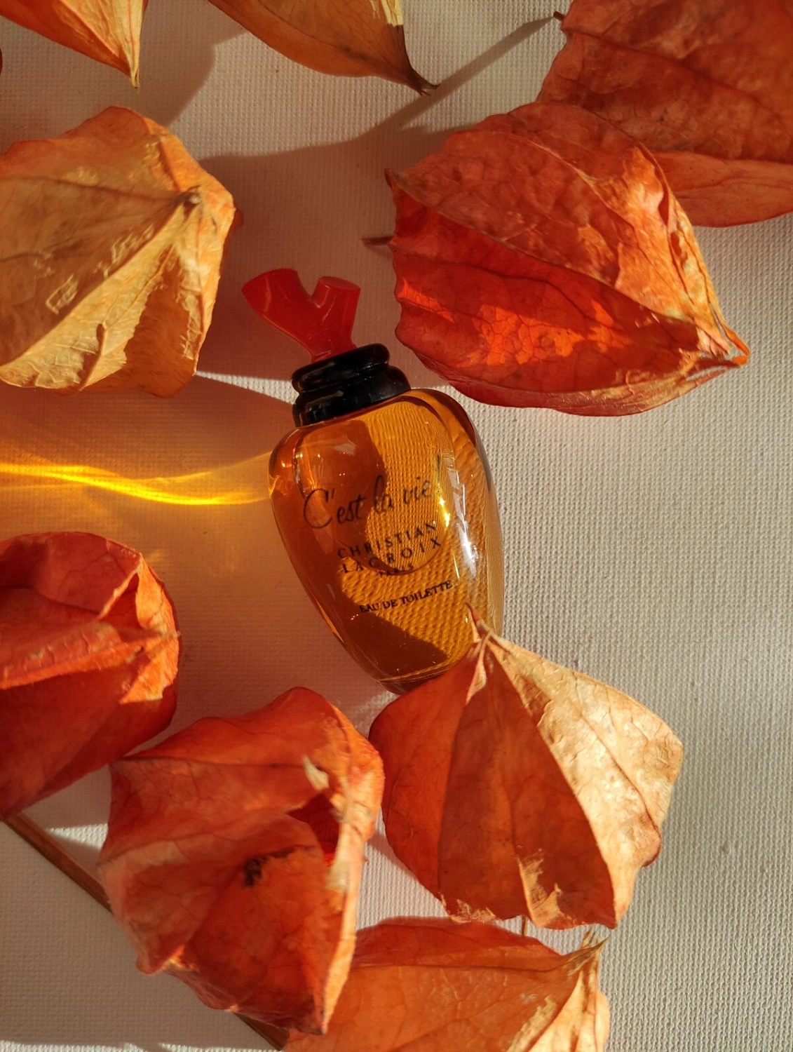 Christian Lacroix C`est La Vie