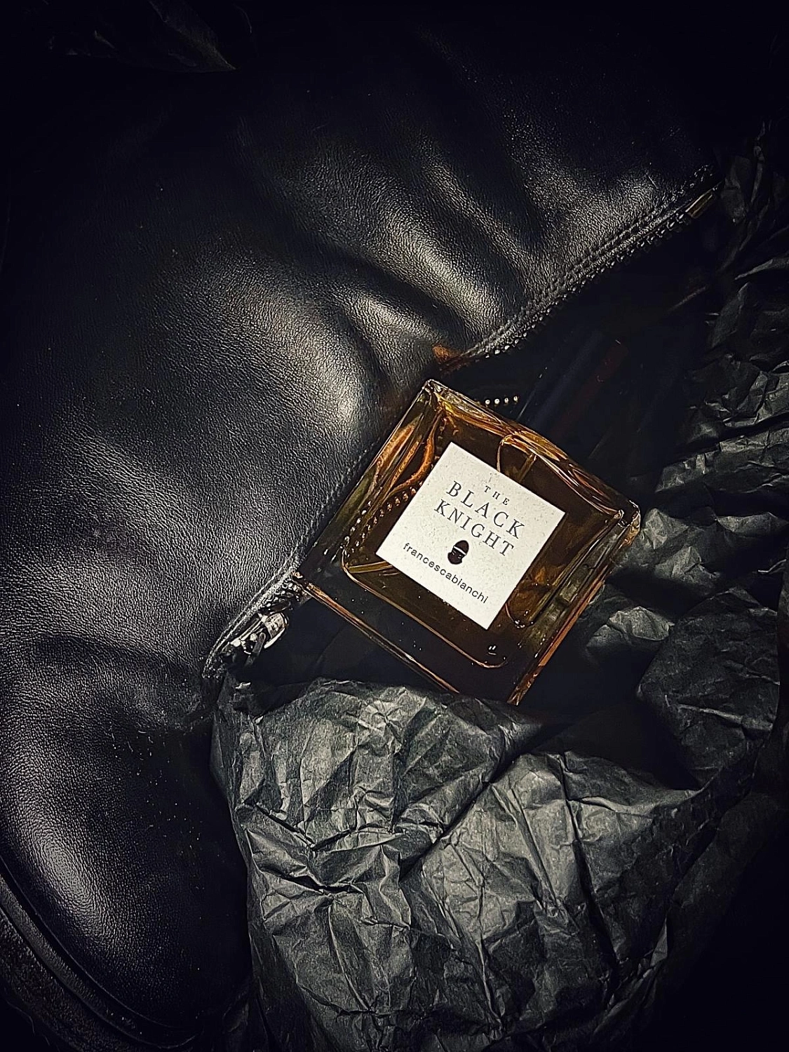 Francesca Bianchi The Black Knight