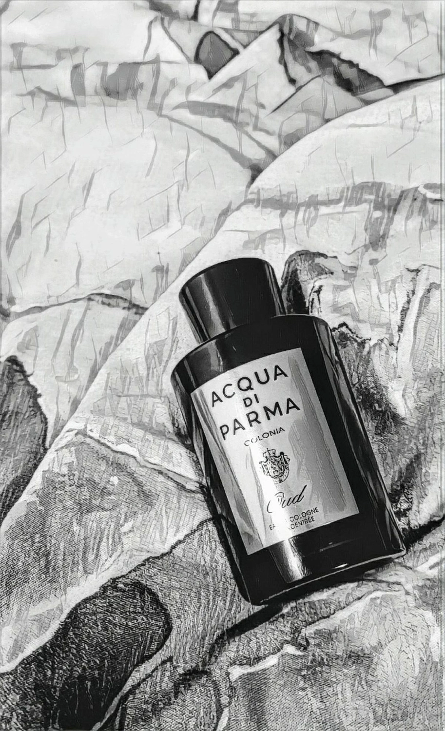 Acqua di Parma Colonia Intensa Oud Acqua di Parma Colonia Intensa Oud
