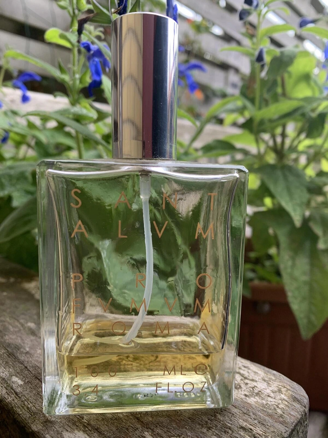 Profumum Roma Santalum