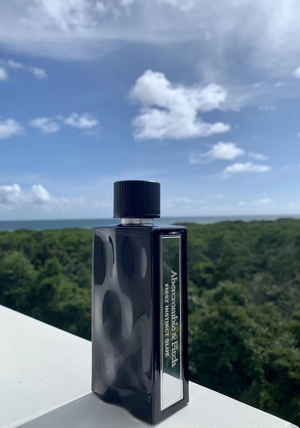 Abercrombie & Fitch First Instinct Blue