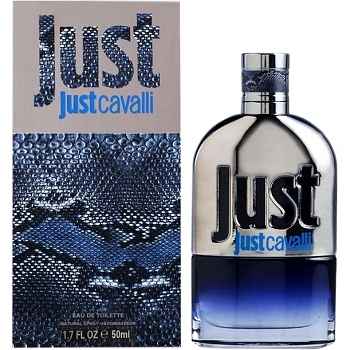 Roberto Cavalli Just Cavalli 2013 Him туалетная вода, 50 мл