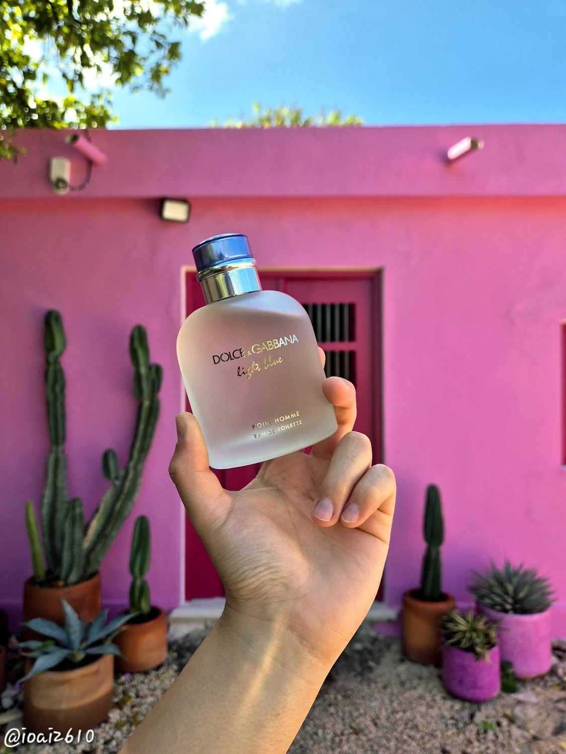 Dolce & Gabbana Light Blue Pour Homme