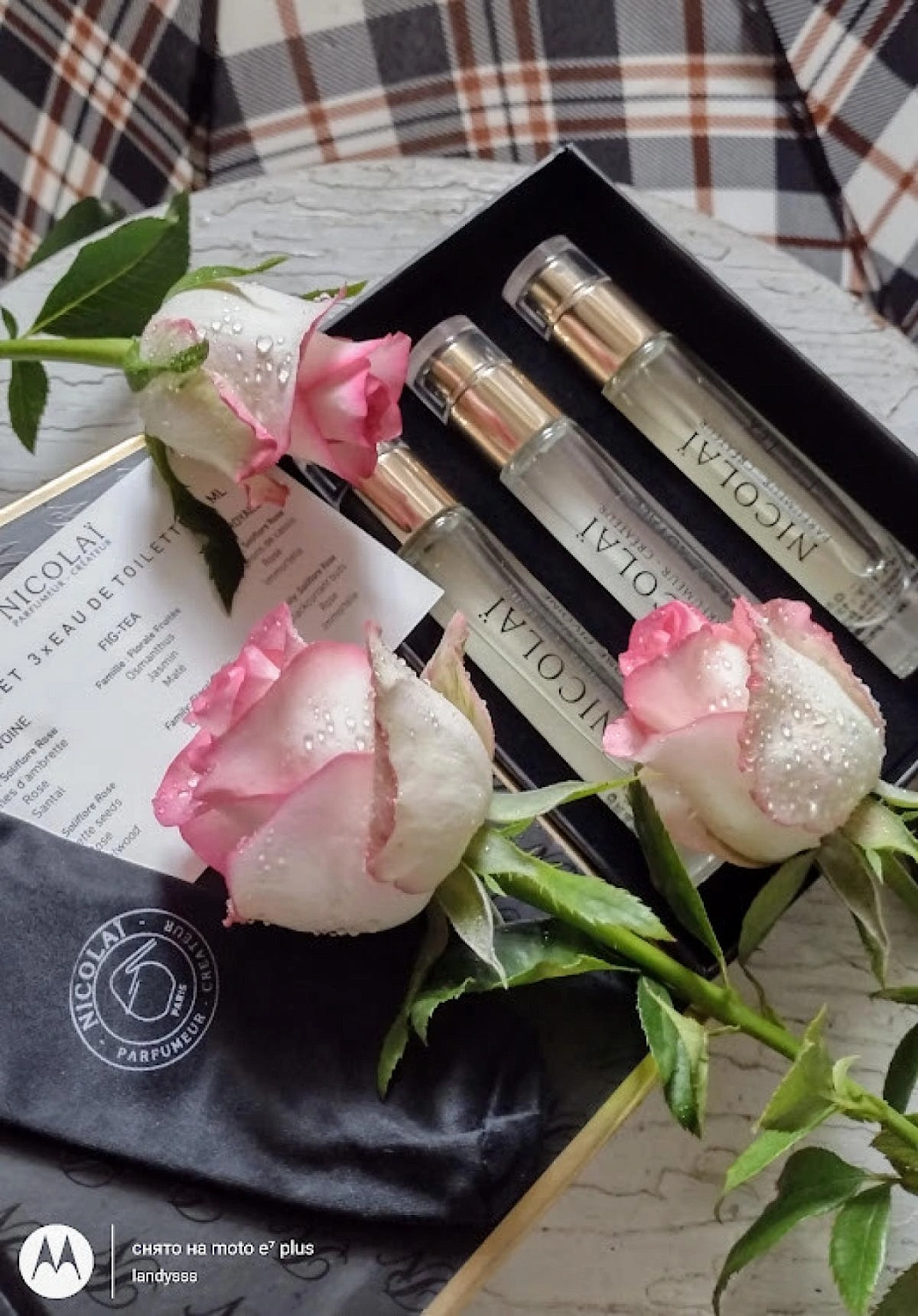 NICOLAI Rose Pivoine