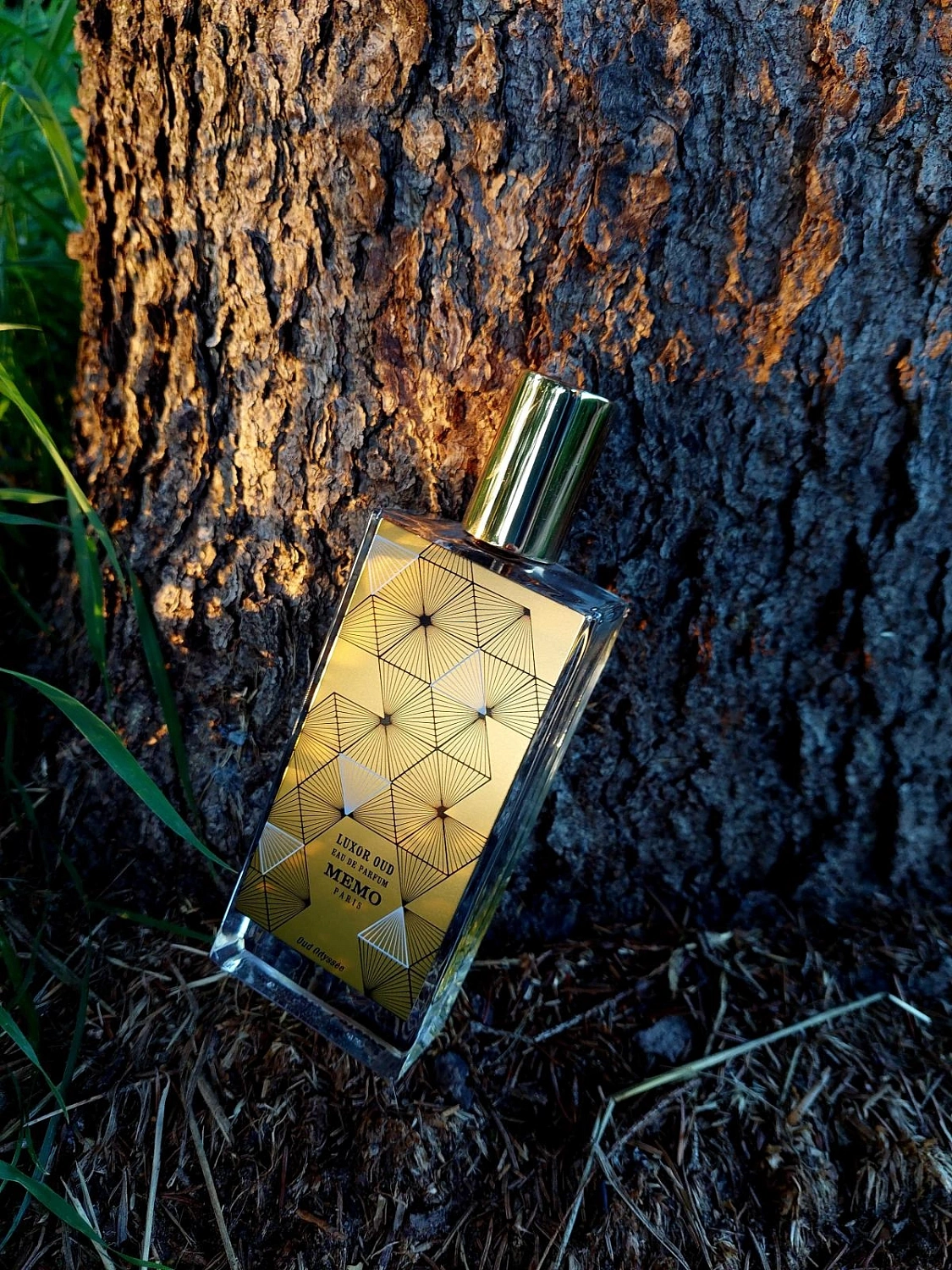 Memo Luxor Oud