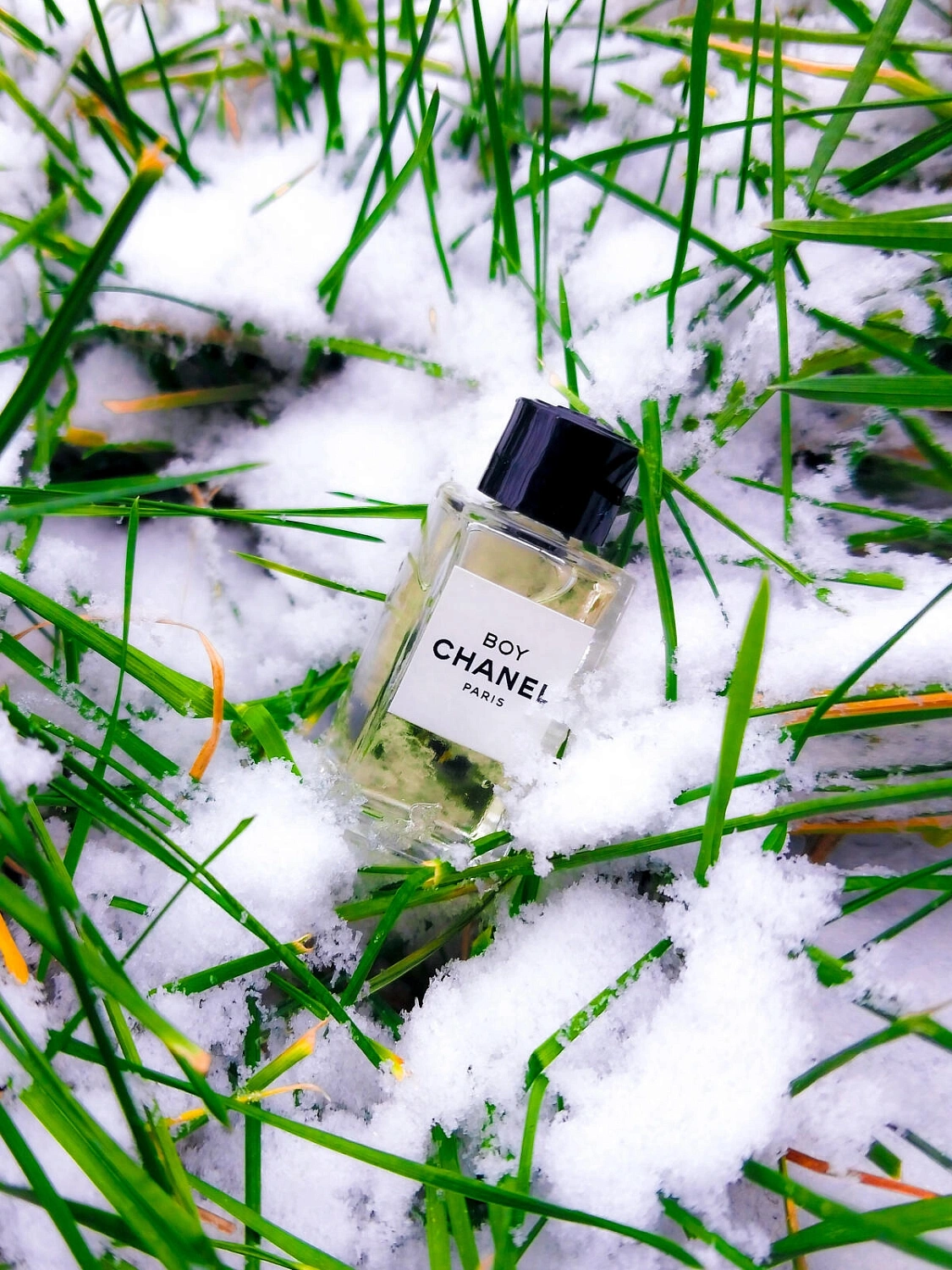 Chanel Boy Chanel Boy