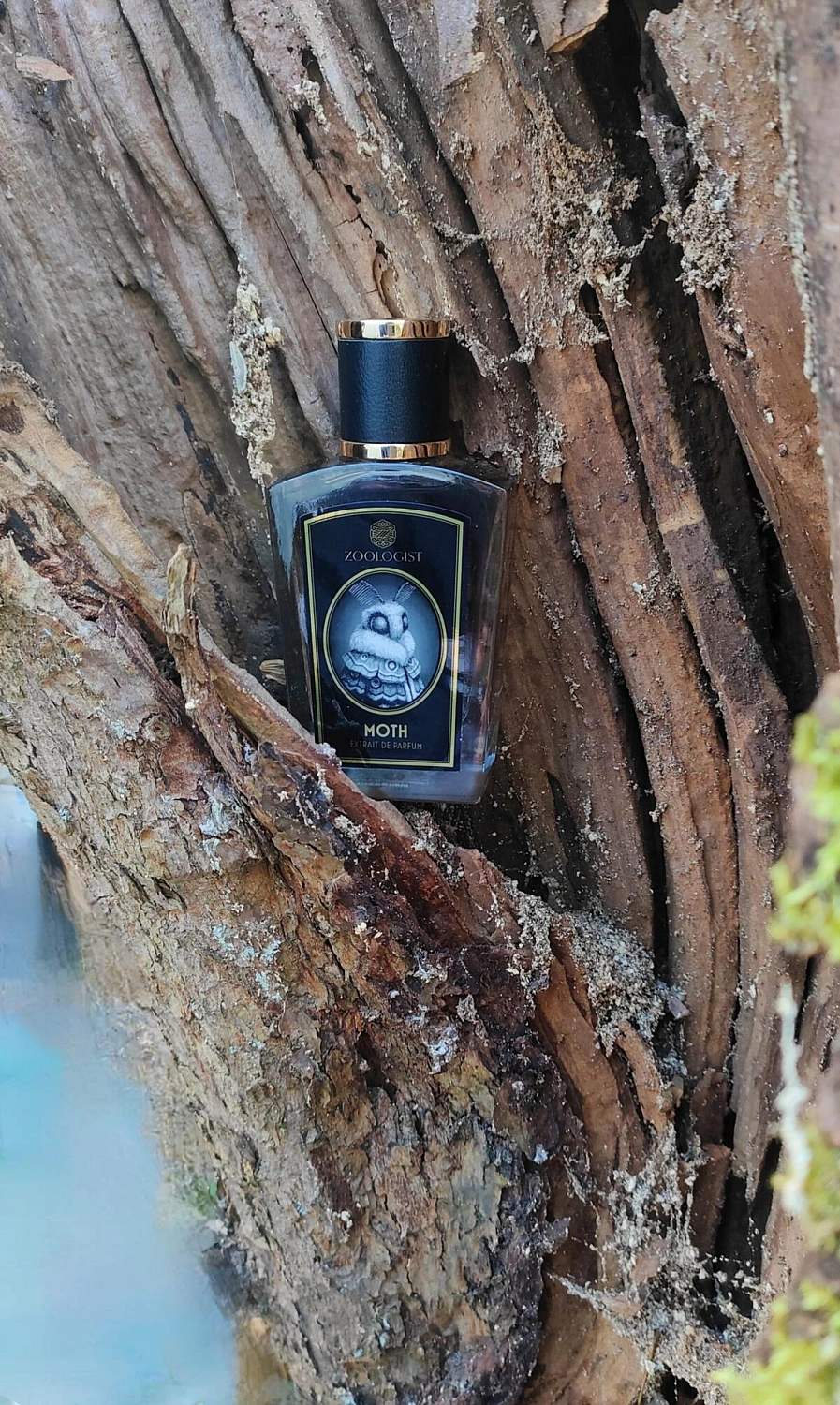 Zoologist Perfumes Moth