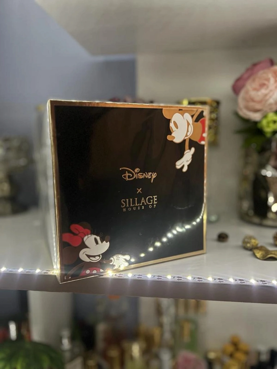 House Of Sillage Mickey Mouse House Of Sillage Mickey Mouse