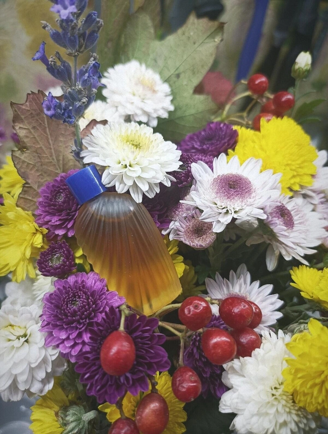 Emanuel Ungaro Senso