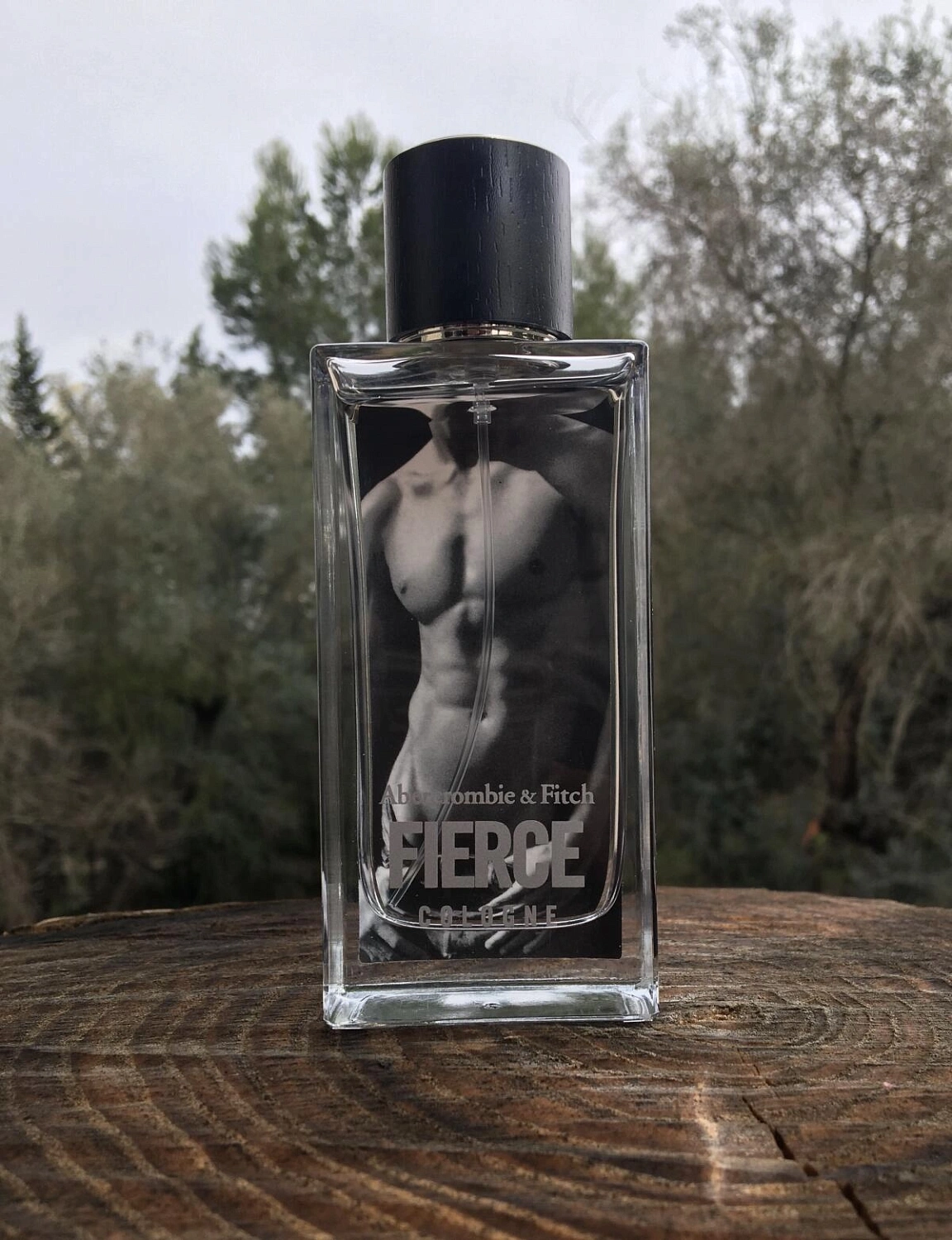 Abercrombie & Fitch Fierce