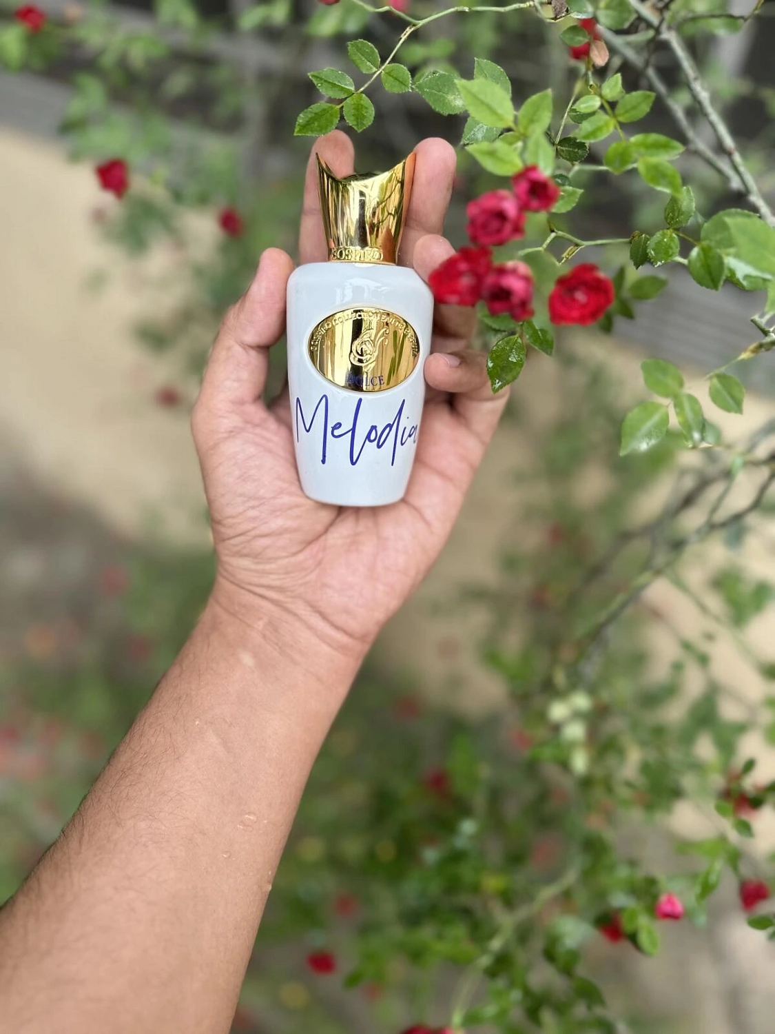 Sospiro Dolce Melodia