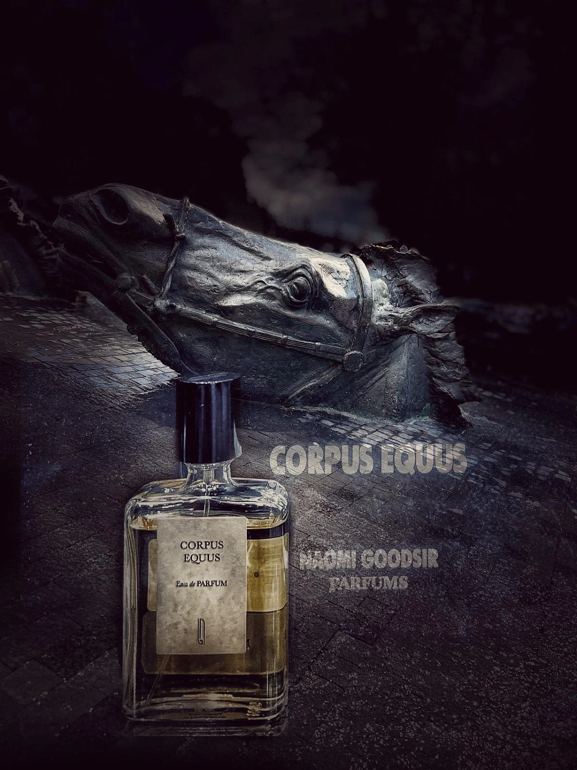 Naomi Goodsir Corpus Equus