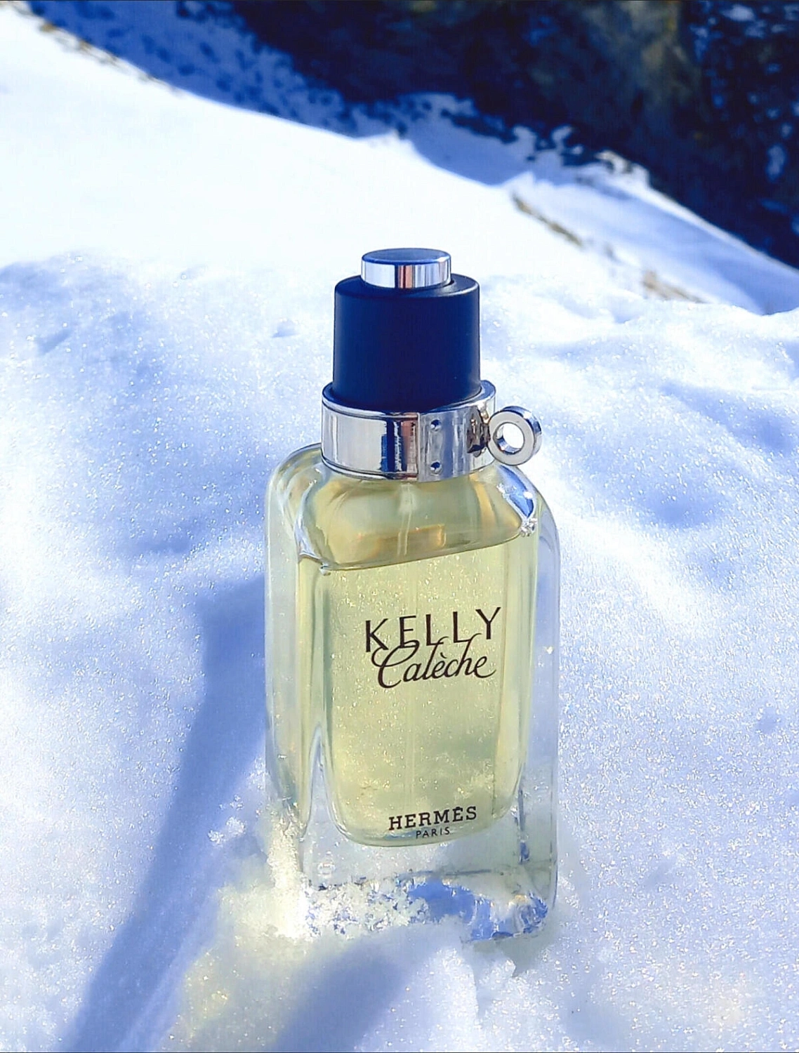 Hermes Kelly Caleche