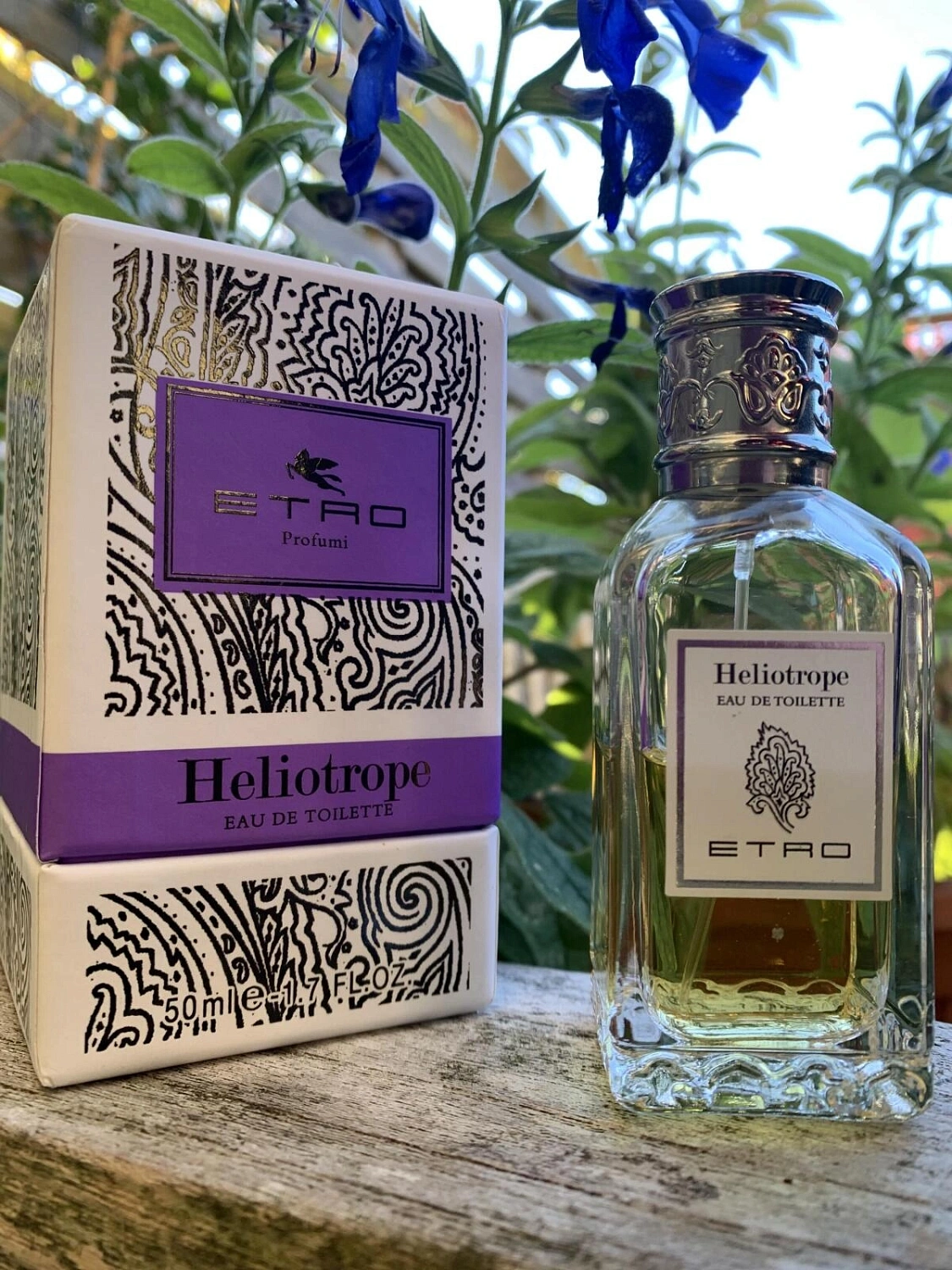 ETRO Heliotrope
