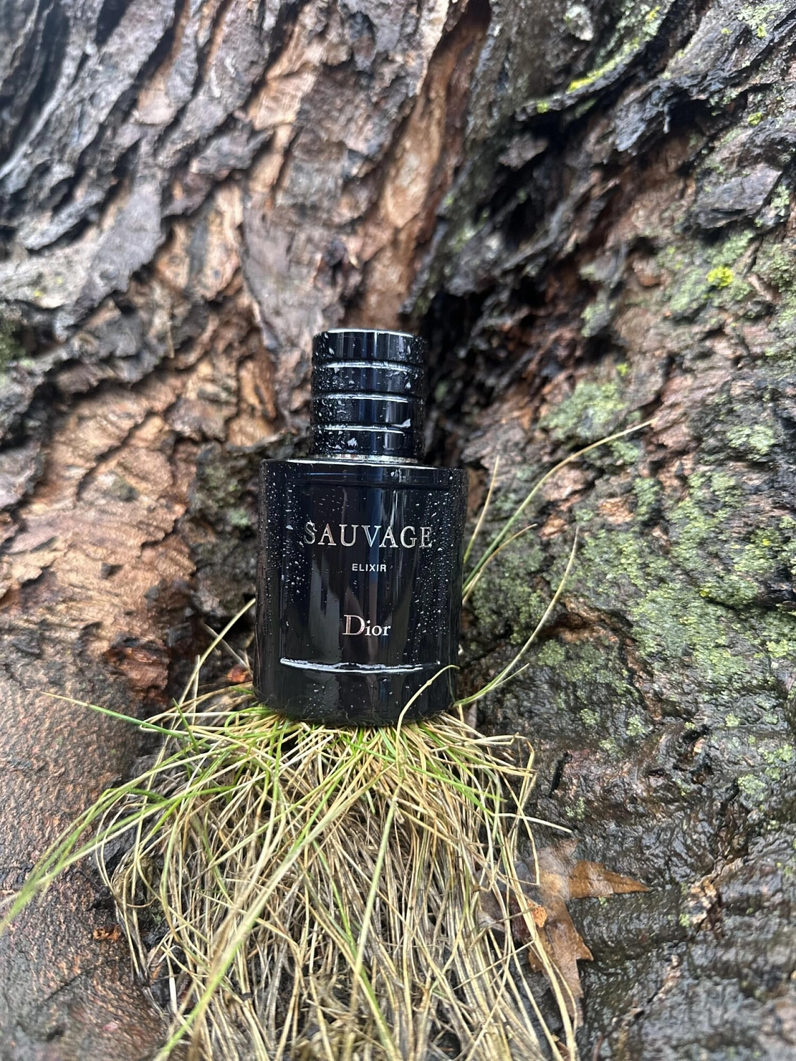 Christian Dior Sauvage Elixir
