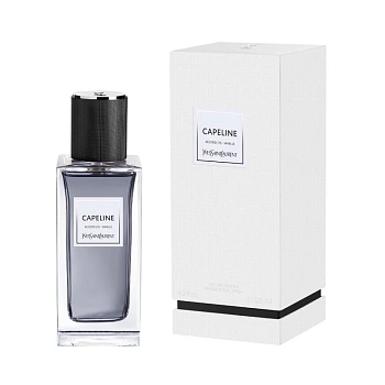 Фото Yves Saint Laurent Capeline