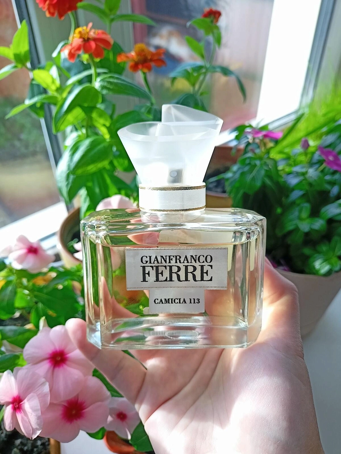 GF Ferre Camicia 113