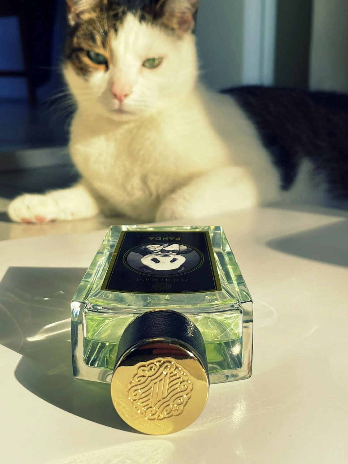 Zoologist Perfumes Panda 2017