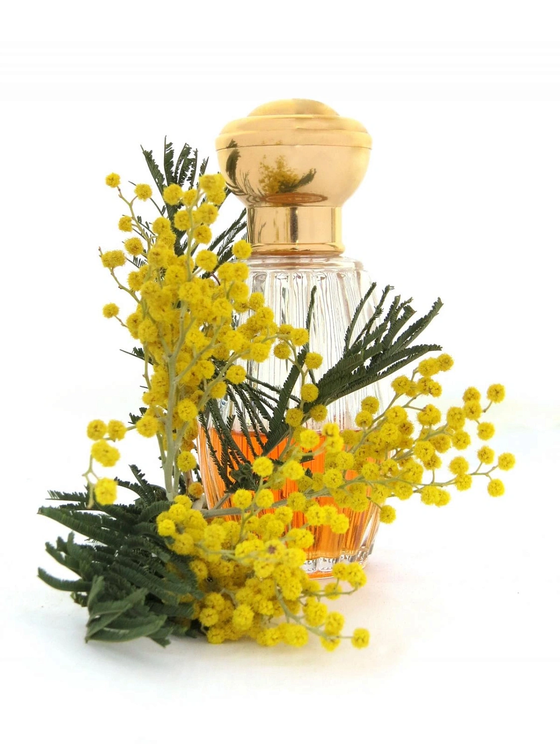 Annick Goutal Passion Annick Goutal Passion
