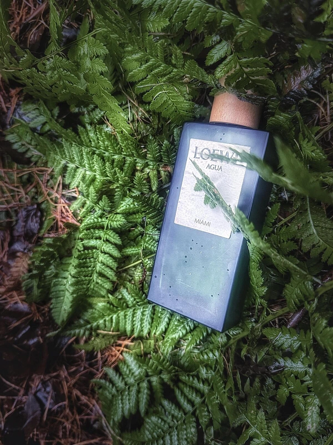 Loewe Agua Miami