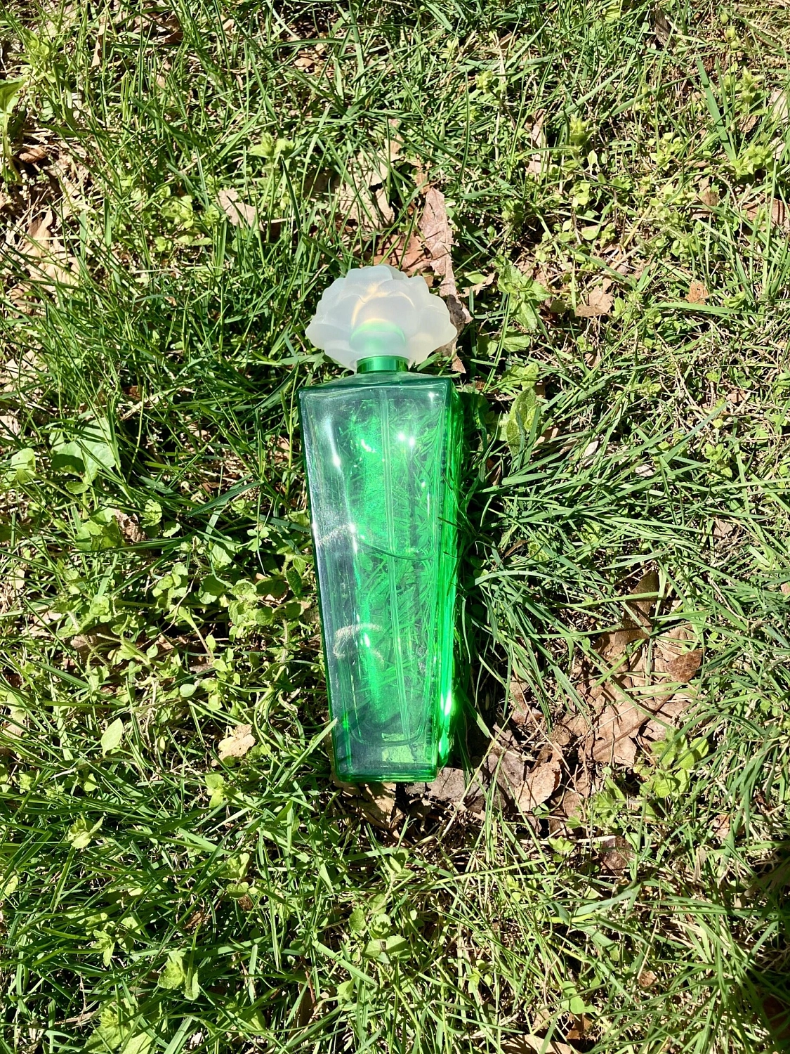 Elizabeth Taylor Gardenia