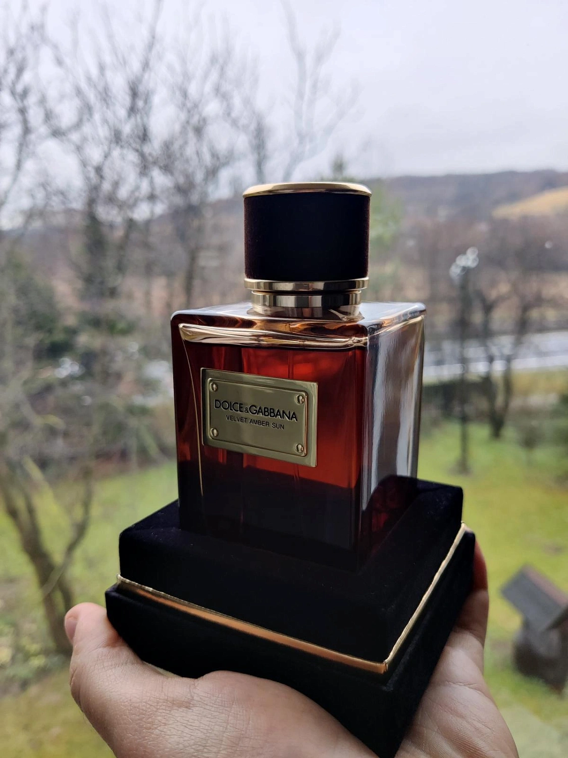 DOLCE & GABBANA Velvet Amber Sun