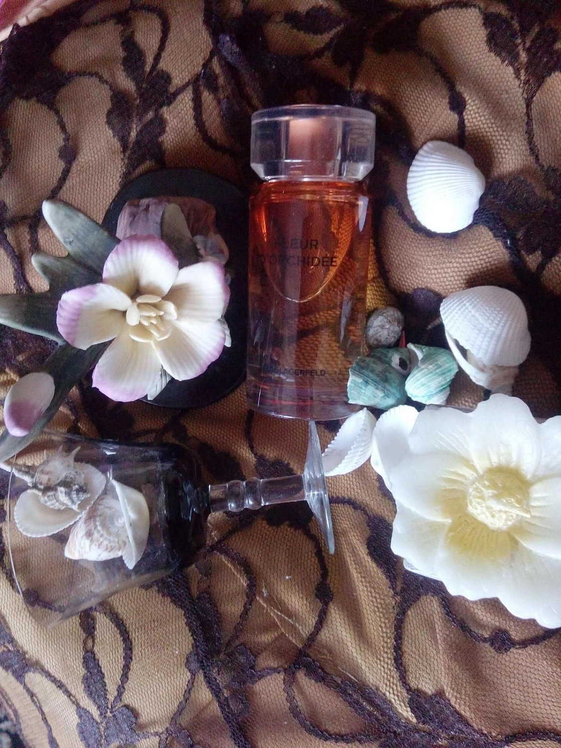 Karl Lagerfeld Fleur d'Orchidee