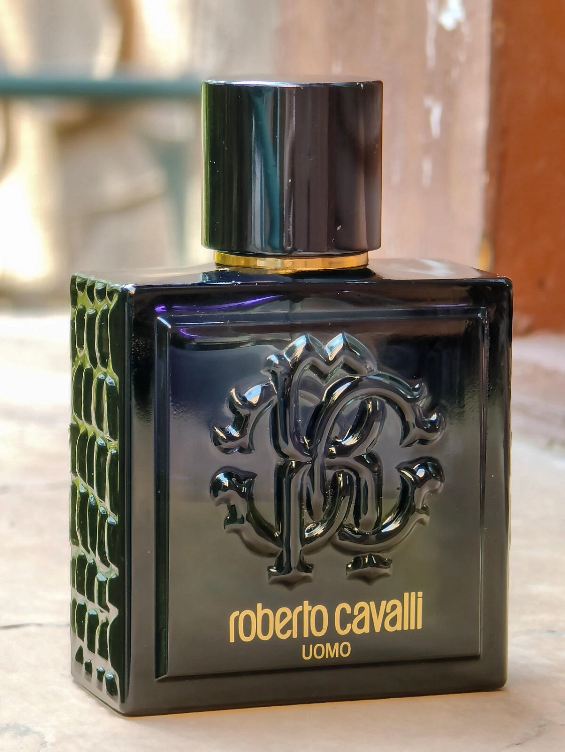 Roberto Cavalli Uomo