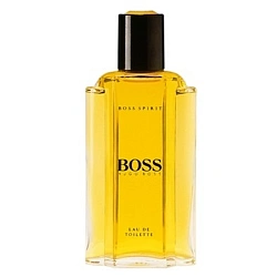 Hugo Boss Spirit