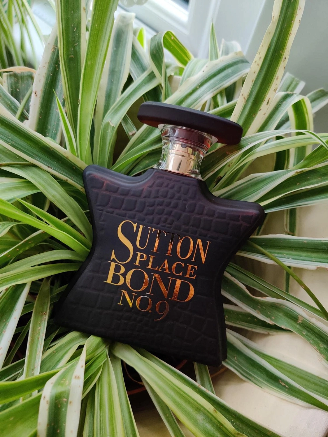 Bond No. 9 Sutton Place