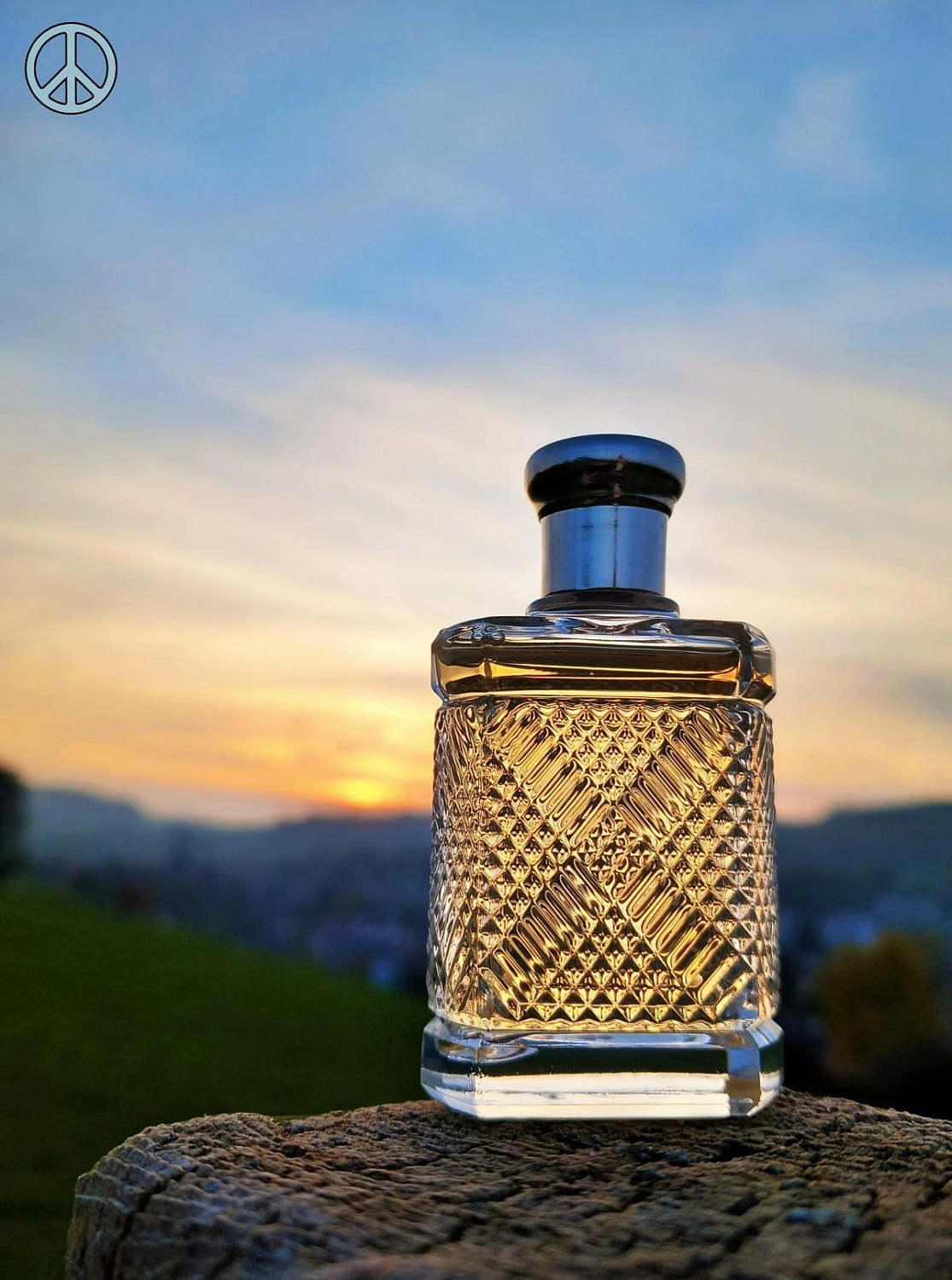 Ralph Lauren Safari for Men