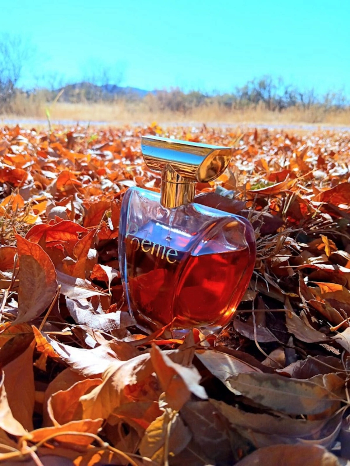 Lancôme Poeme