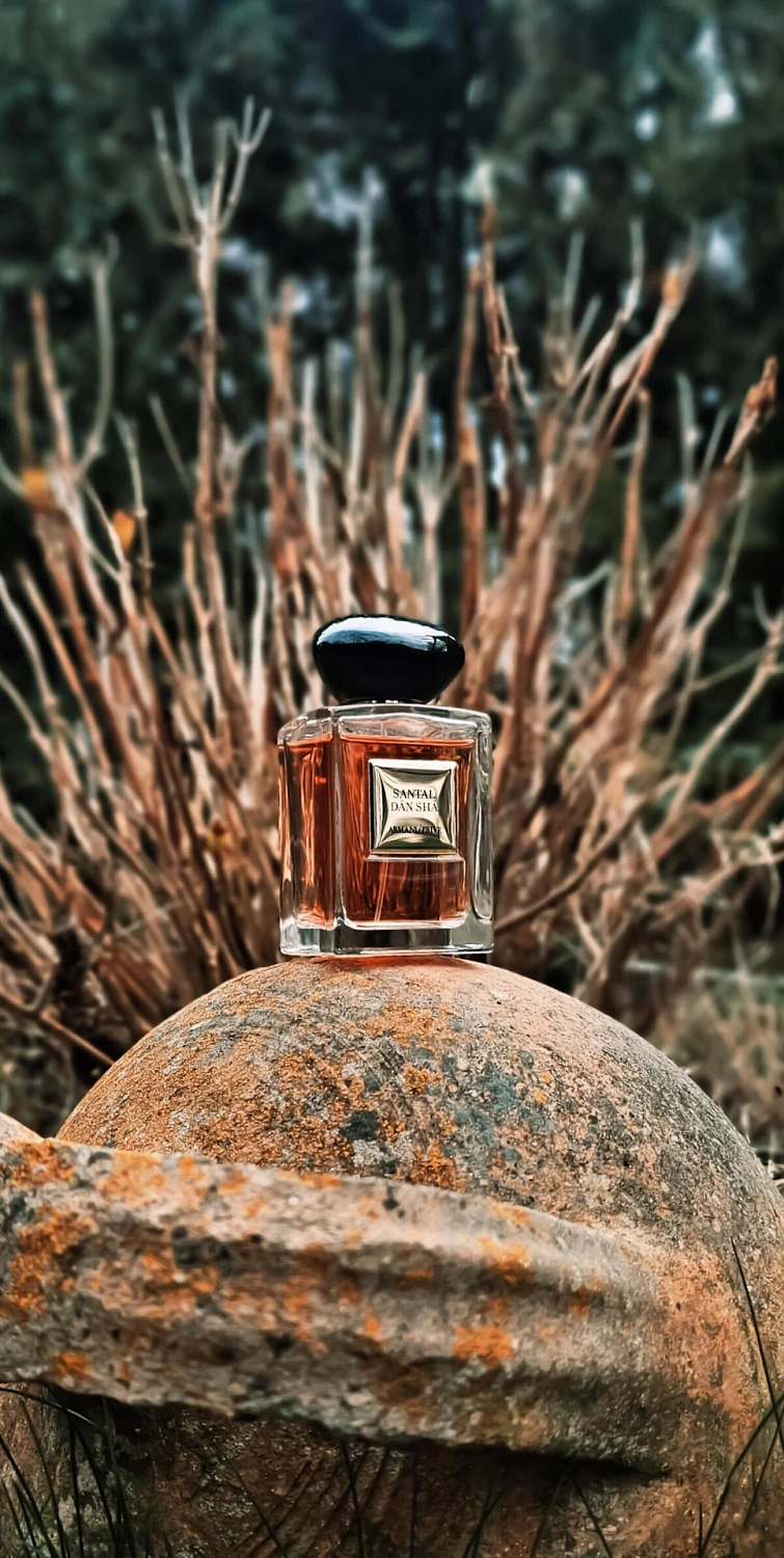 Armani Santal Dan Sha