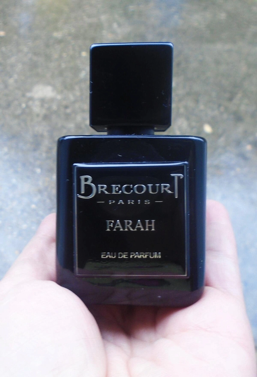 Brecourt Farah Brecourt Farah