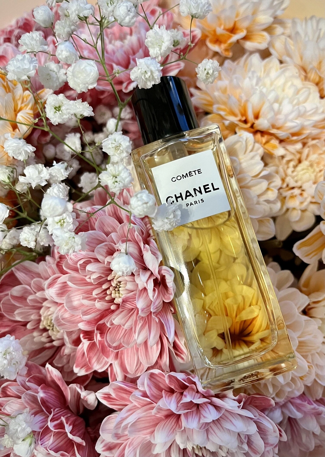 Chanel Comete