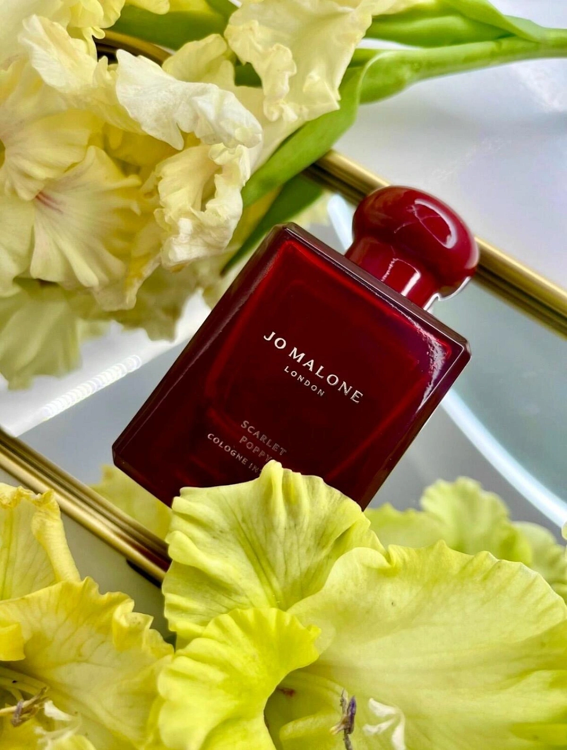 Jo Malone Scarlet Poppy Intense