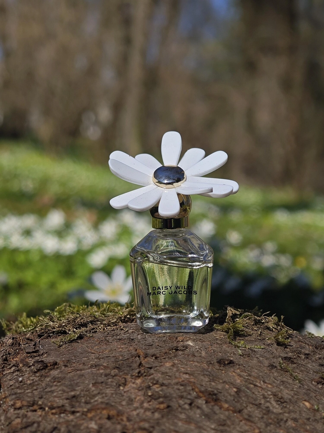 Marc Jacobs Daisy Wild