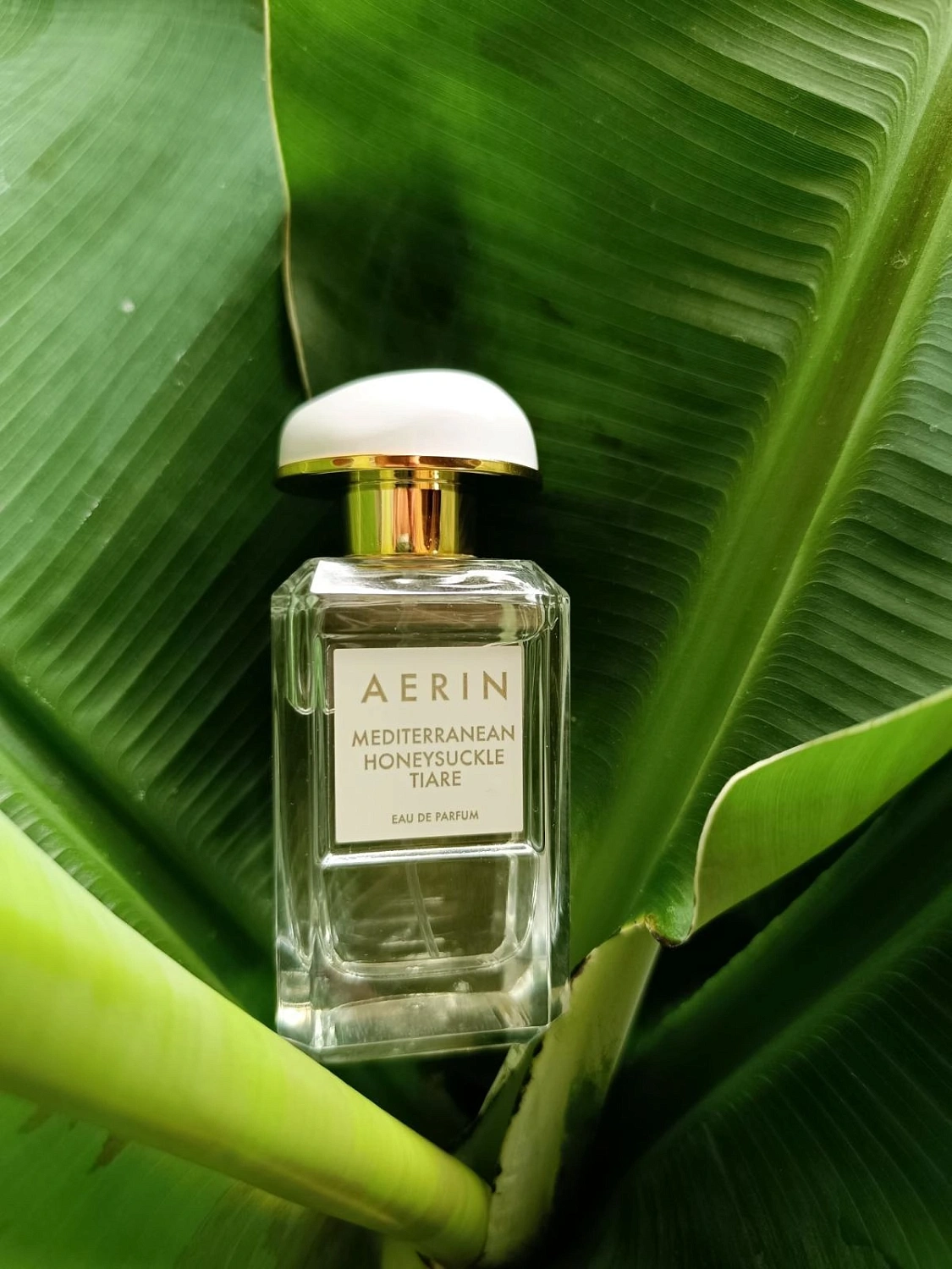 AERIN Mediterranean Honeysuckle Tiare