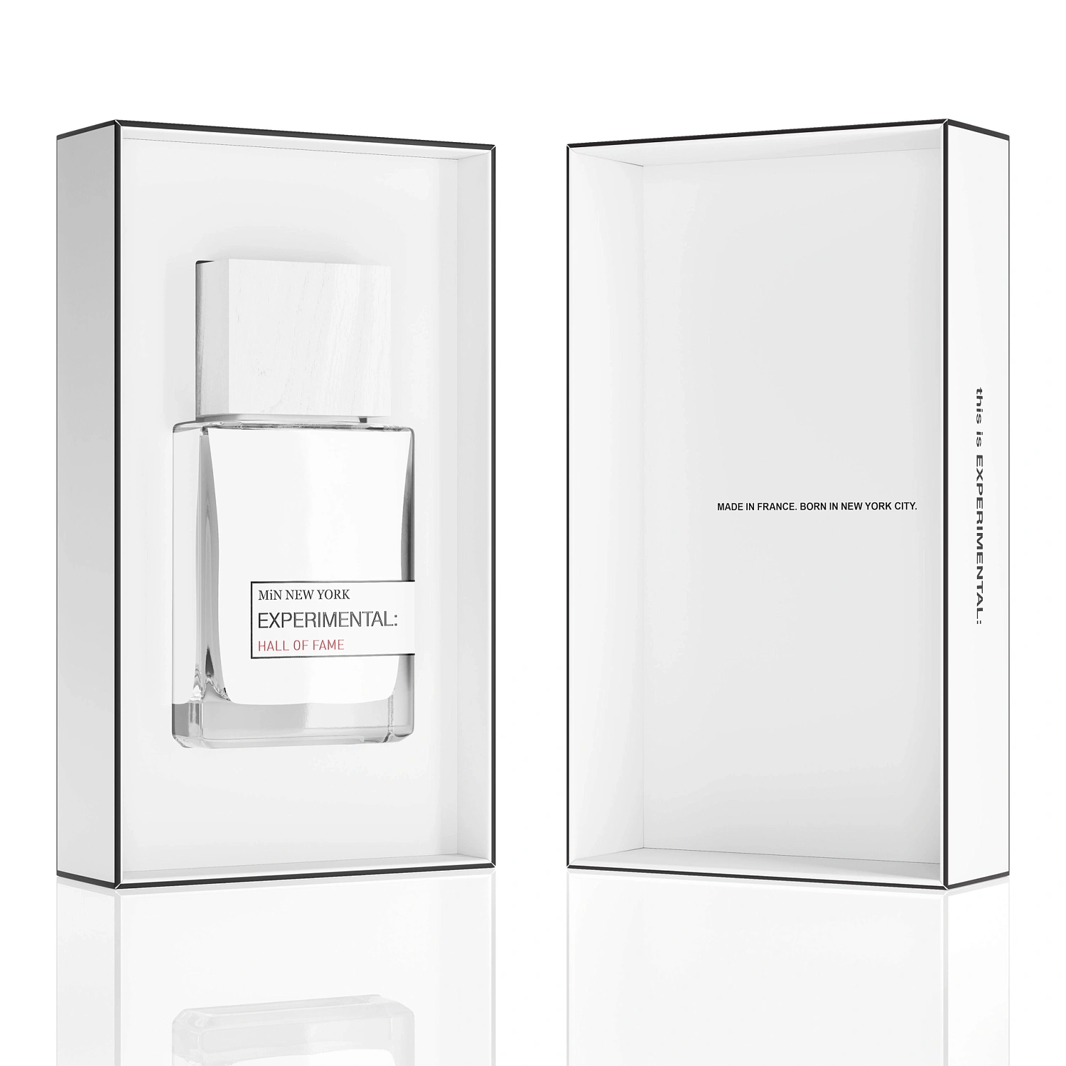 MiN New York Hall of Fame