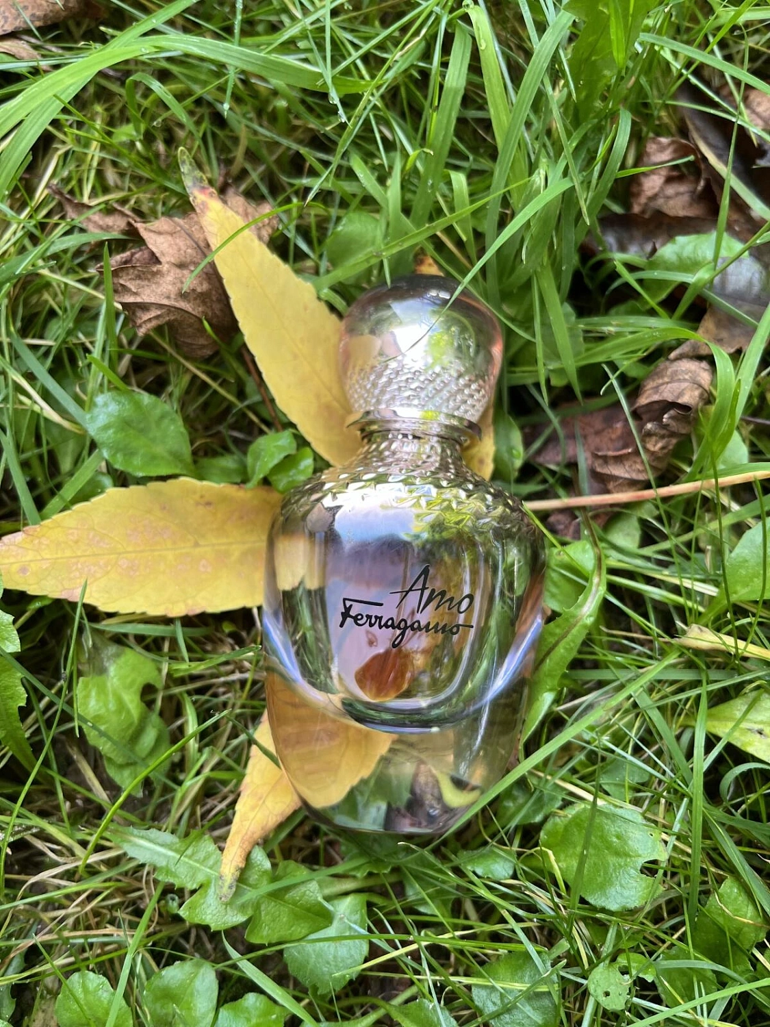 Salvatore Ferragamo Amo Ferragamo